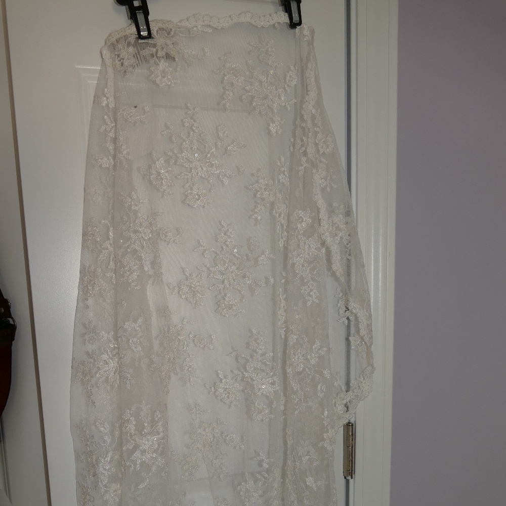 Fully Lace Ivory veil